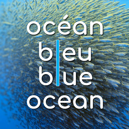 Avatar: blueocean
